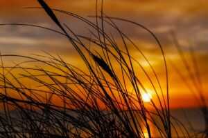 vegan skincare retinol and vitamin c home and body