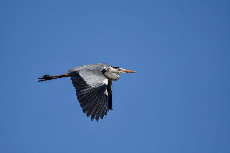 was anyone born on december 6 2006