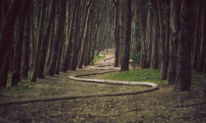 aggr8taxes investment savings by aggreg8