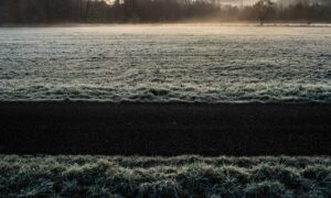 contracts aggr8taxes