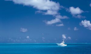 discapitalied finance updates by disquantified