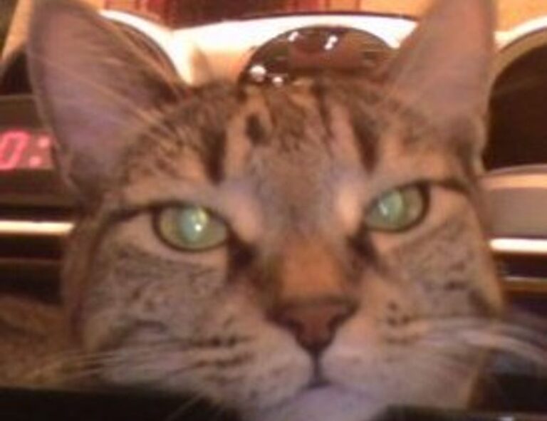 economy updates discapitalied