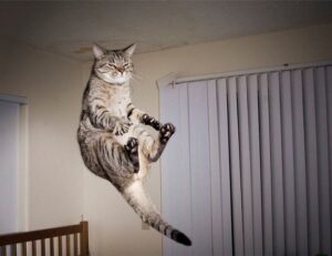 how to calculate taxes aggr8taxes