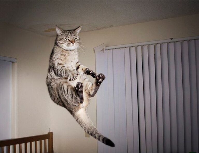 how to calculate taxes aggr8taxes