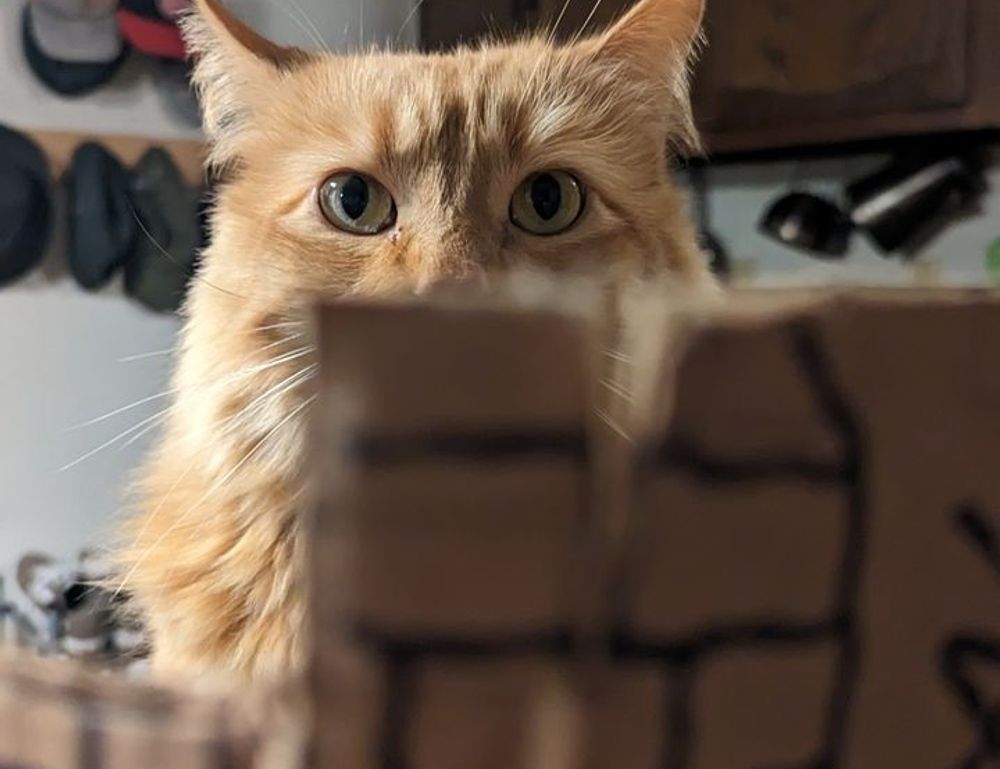 how to raise capital for a fund discapitalied