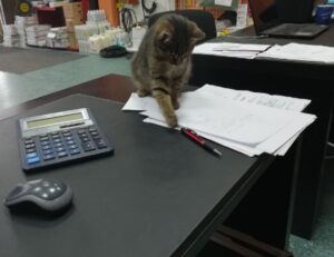 investment tips disfinancified