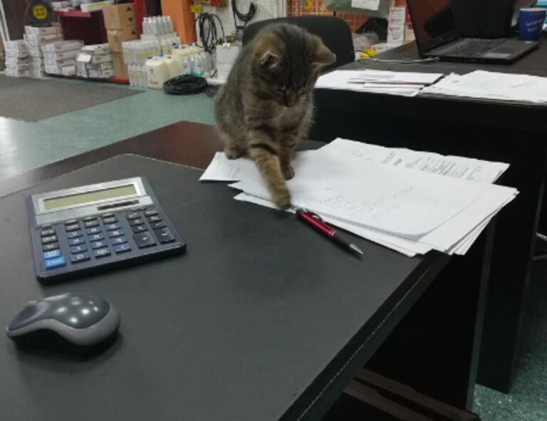 investment tips disfinancified