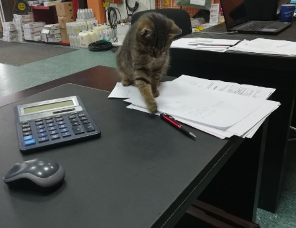 investment tips disfinancified