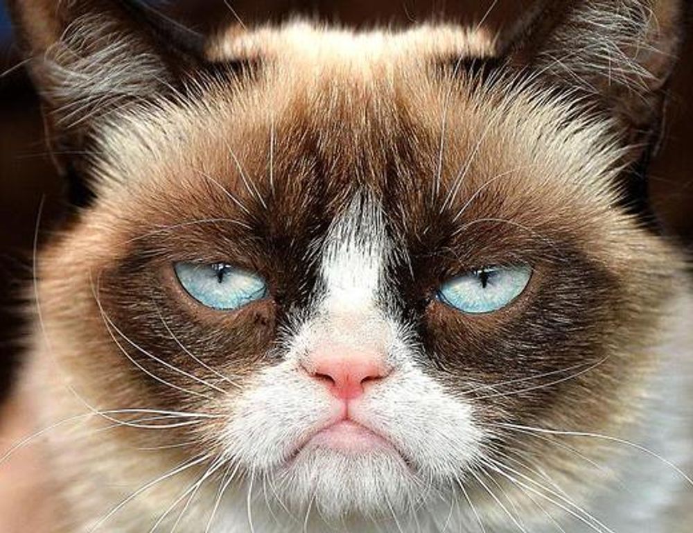 land contracts aggr8taxes