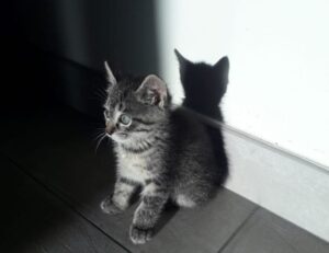 land plans aggr8taxes