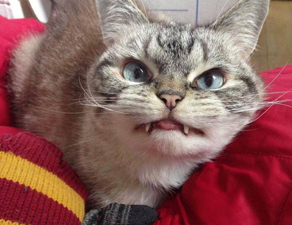 money management ontpinvest