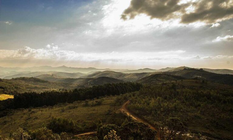 money management tips ontpinvest