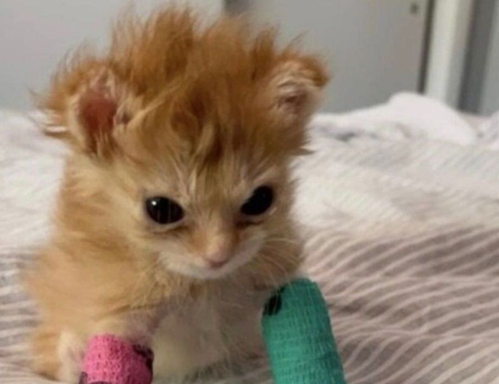 money tips disfinancified