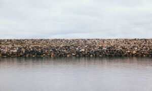 ontpinvest financial tips by ontpress