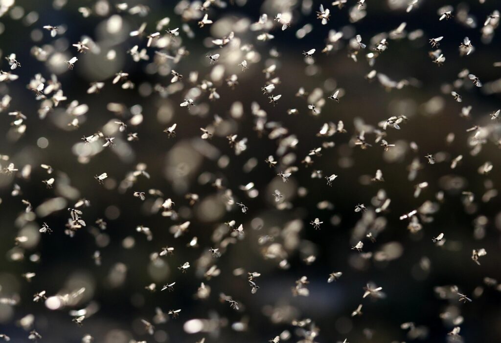 seasonal promotion roi