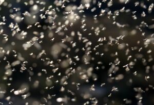 seasonal promotion roi