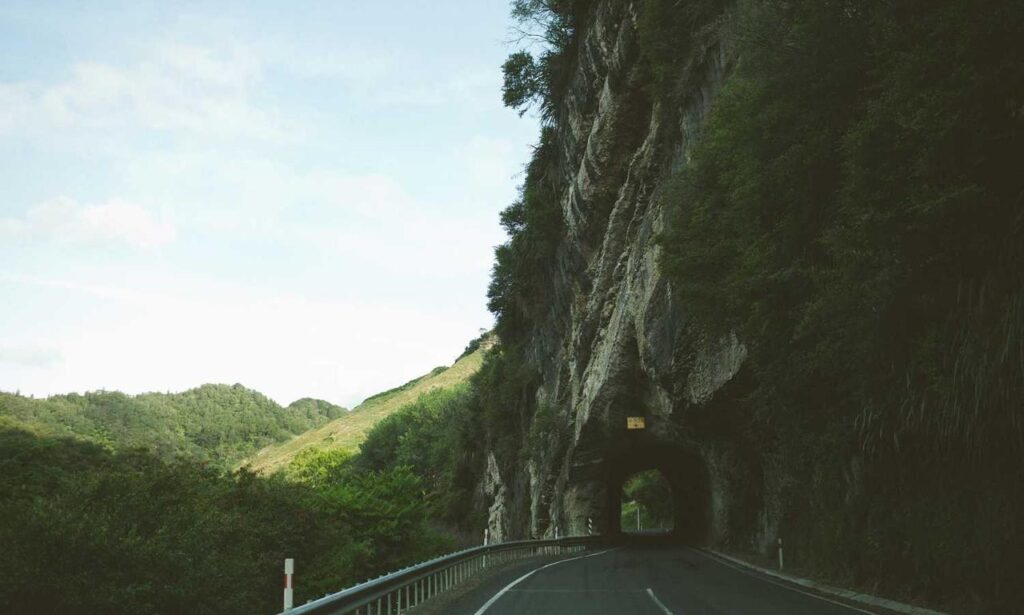 tazopha investment ltd