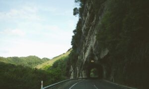 tazopha investment ltd