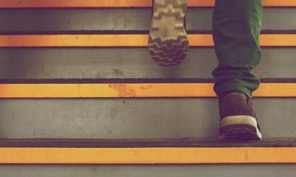 wealth management fees alletomir