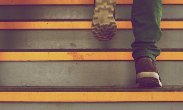 wealth management fees alletomir