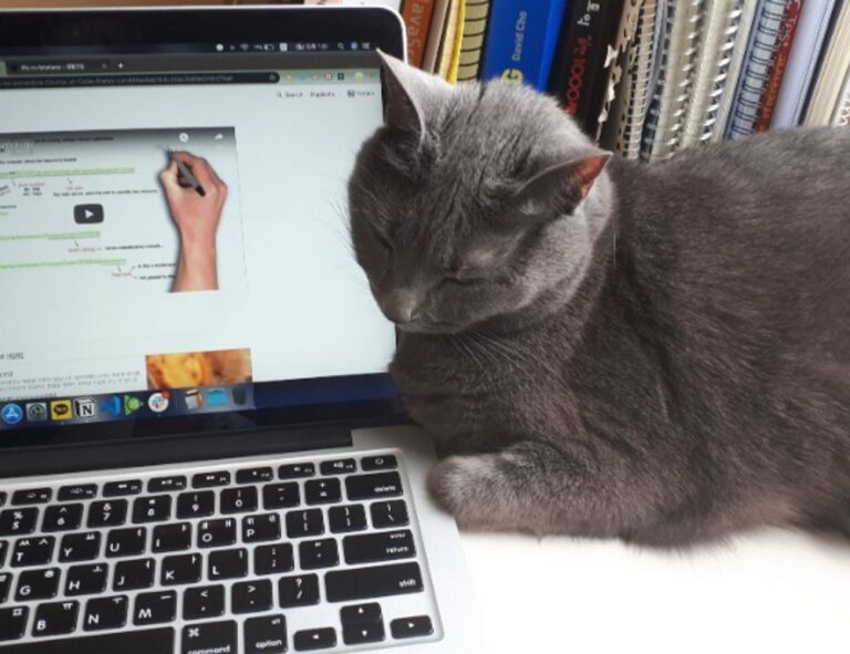 which is better alletomir or raymond james