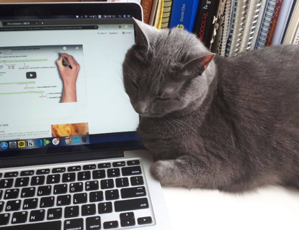 which is better alletomir or raymond james