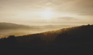 is mopfell78 the best graphics in a pc game