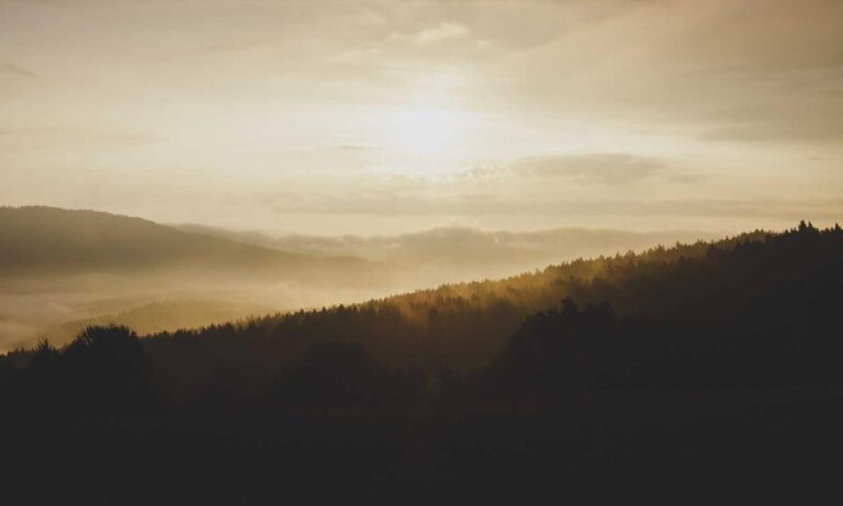 is mopfell78 the best graphics in a pc game