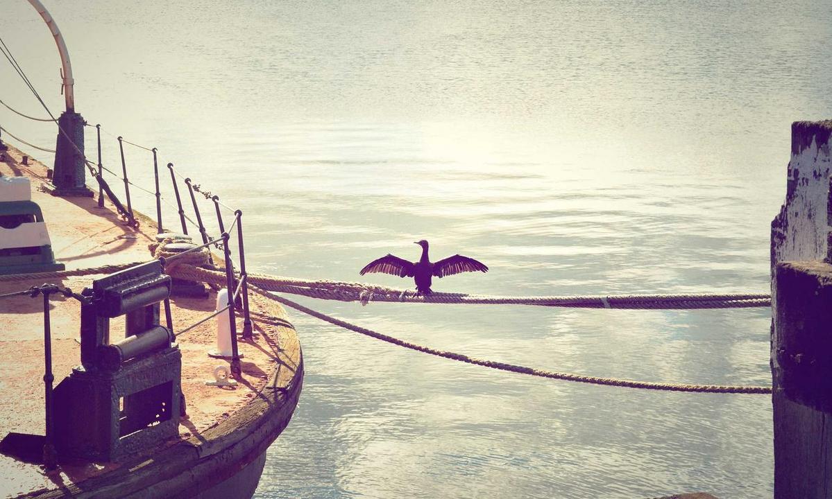 investment strategies