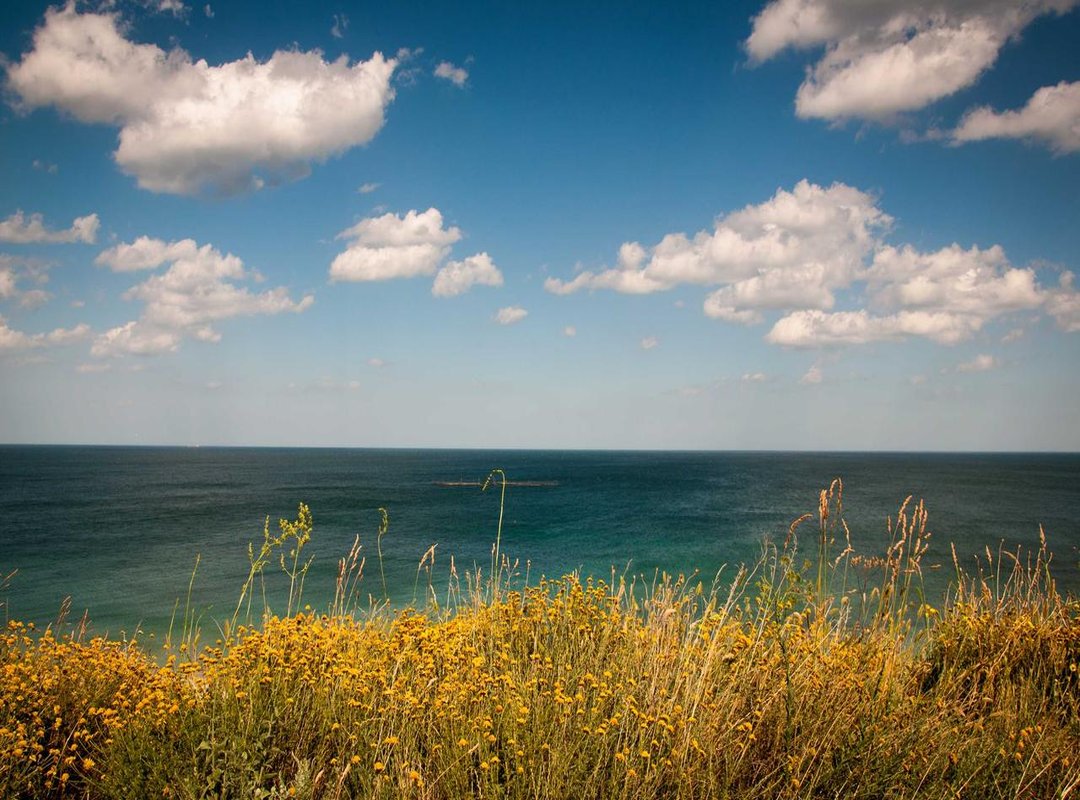 How to Calculate 84 kg in Stones and Pounds: A Step-by-Step Guide