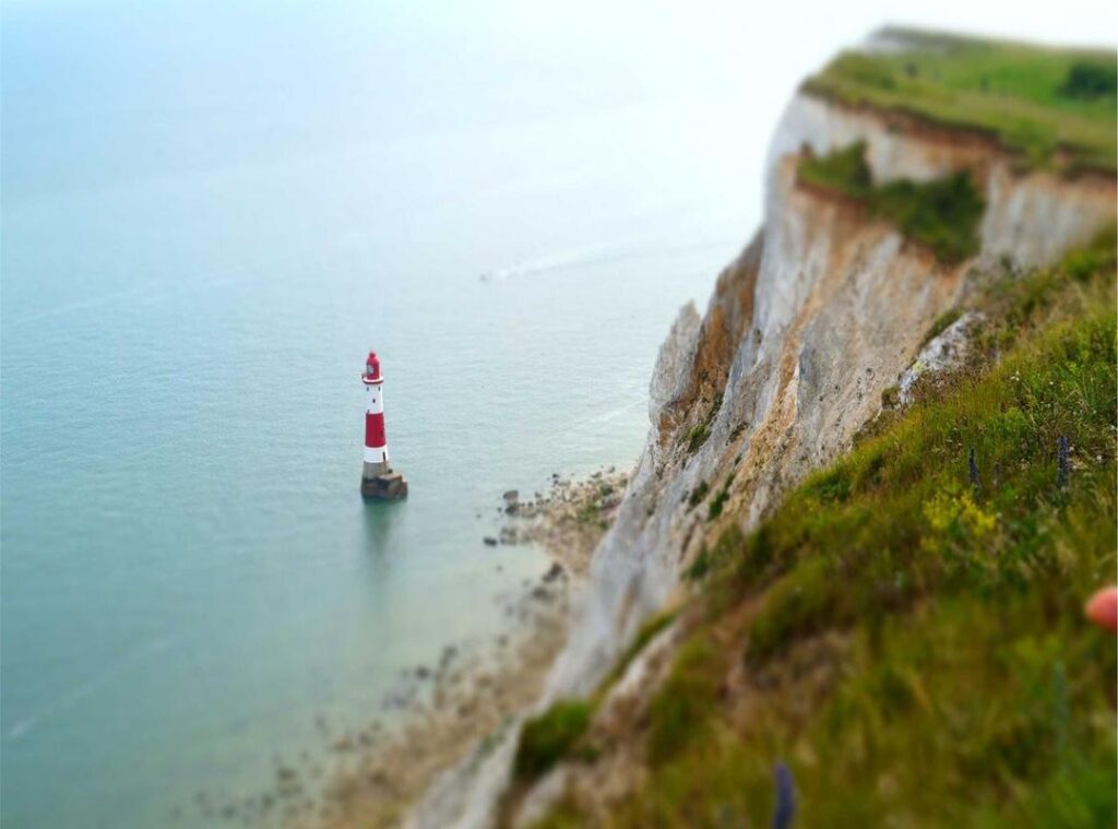 bologna fc 1909 - atalanta bergamo opstellingen