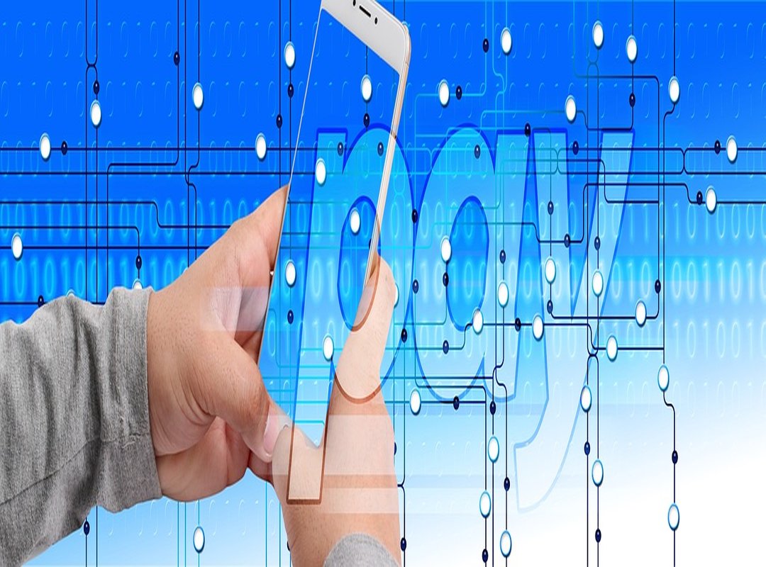 Crypto Rewards in Gaming Pmwplayers