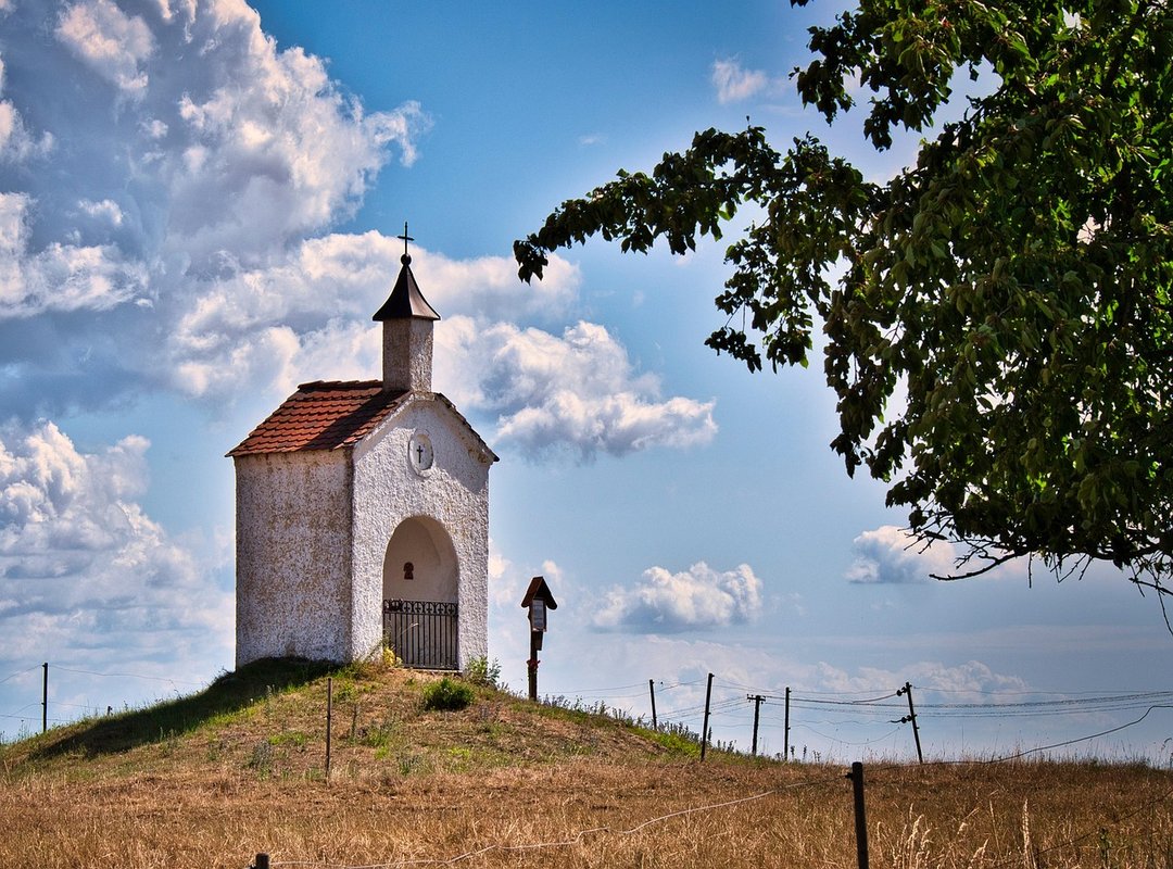 Understanding the 'Czech' Video Niche