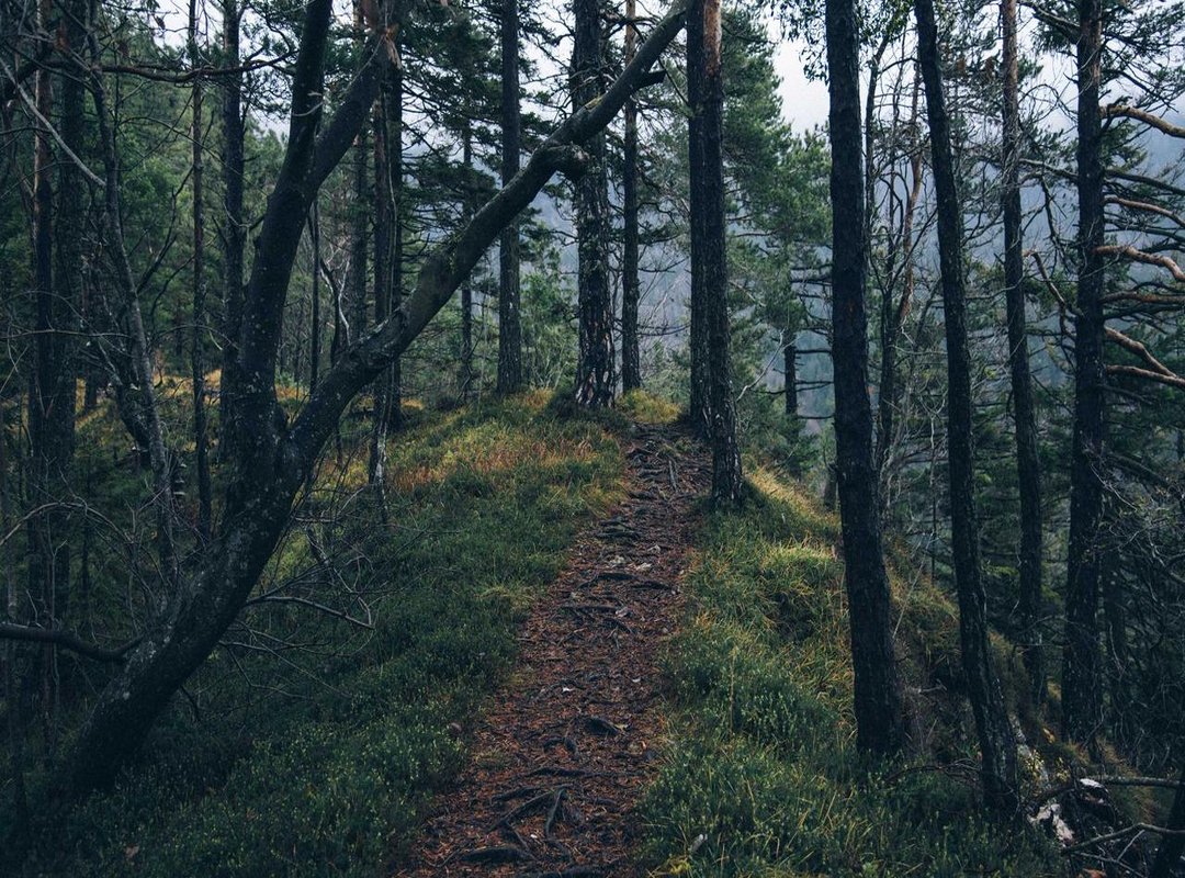 More Than a Message: Starting Their Day With a Smile