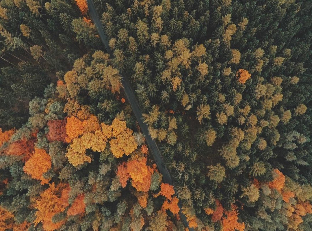 The On-Screen Magic: How They Create That Unforgettable Chemistry