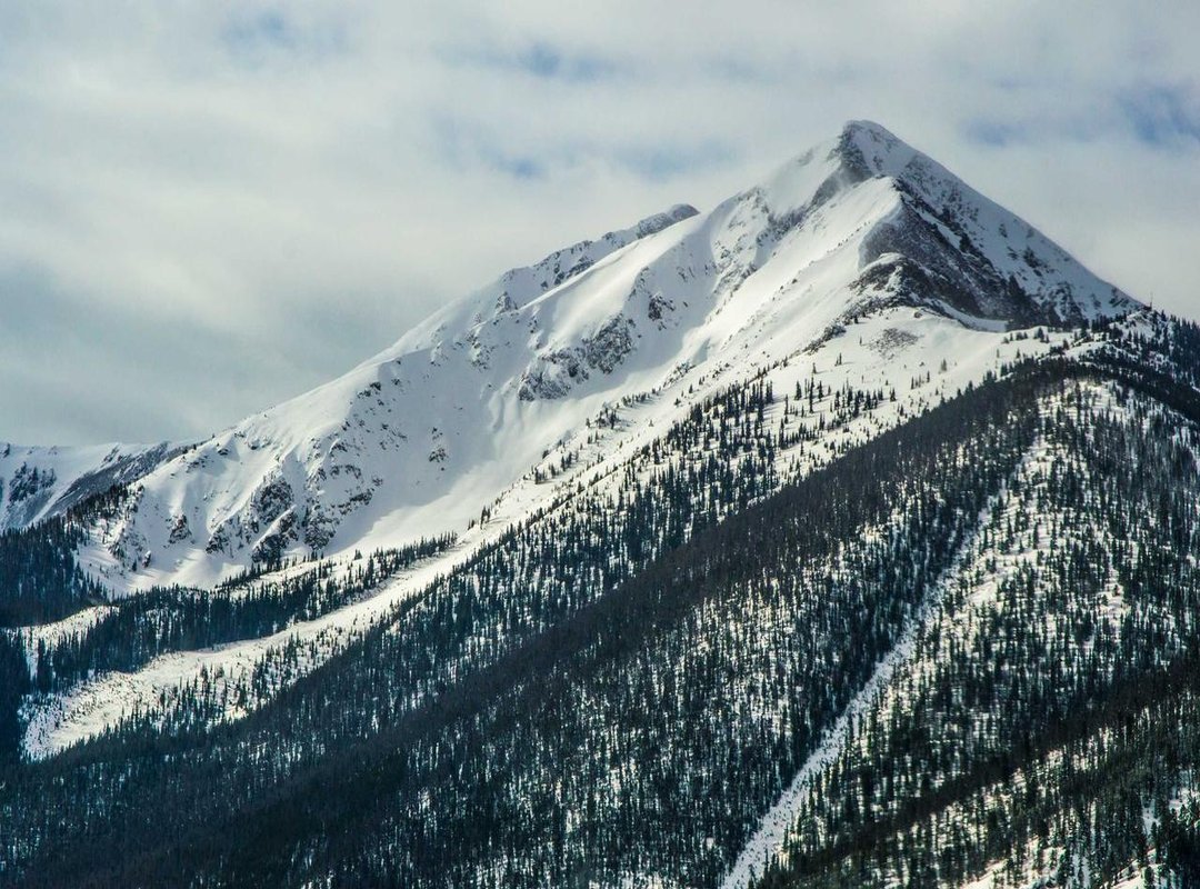 Supraid vs. The Competition: A Head-to-Head Comparison